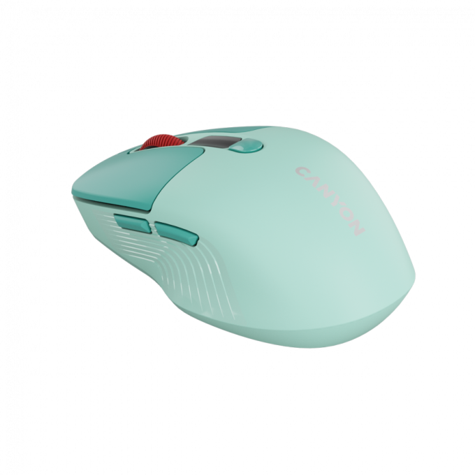 Canyon CNS-CMSW26GR