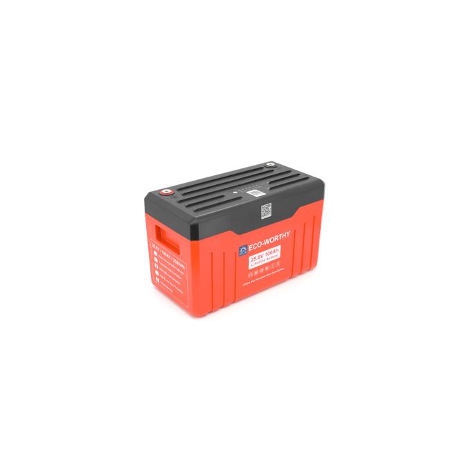 Dyness Eco-Worthy-251004