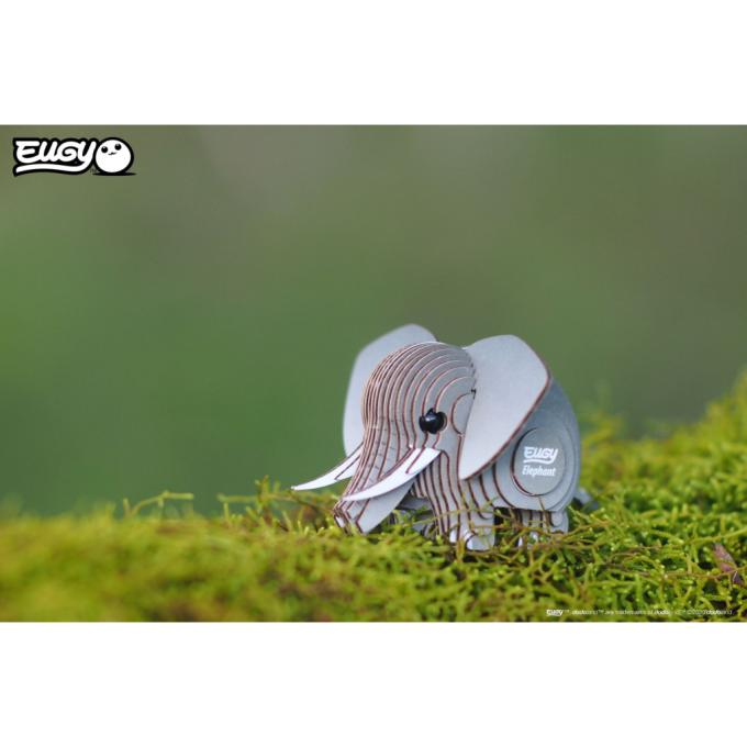 Eugy XEG-010