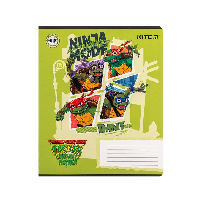 Kite NT24-234