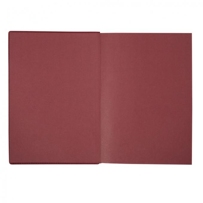 Leo planner 252645