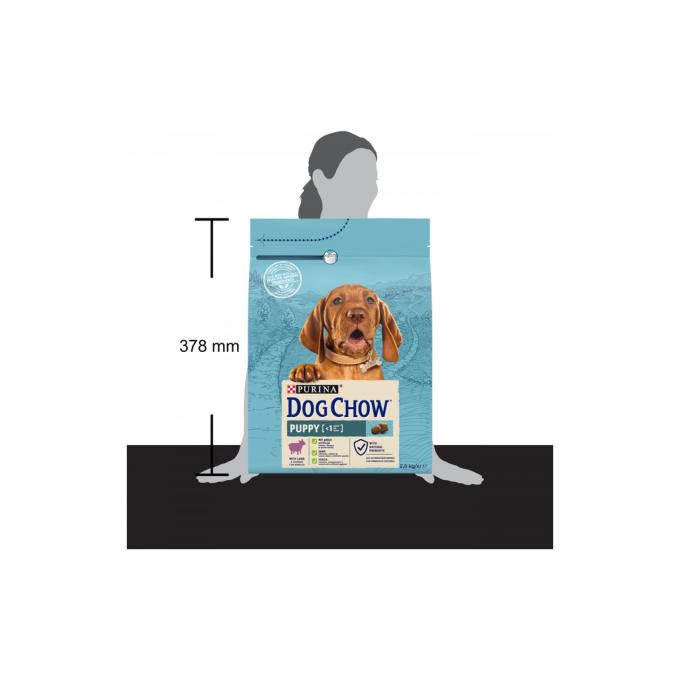 Purina Dog Chow 7613034488657
