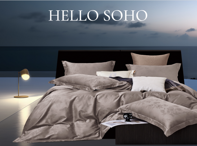 SOHO A130103