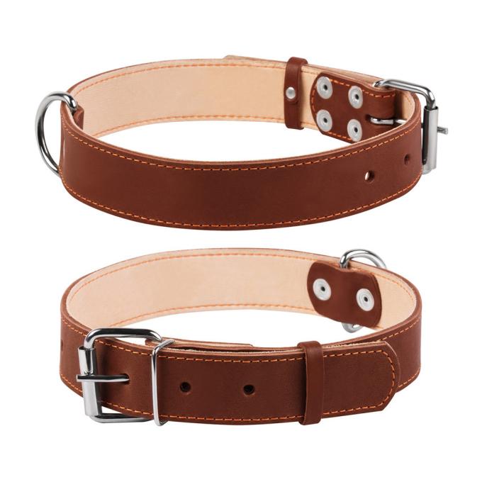 Collar 02796