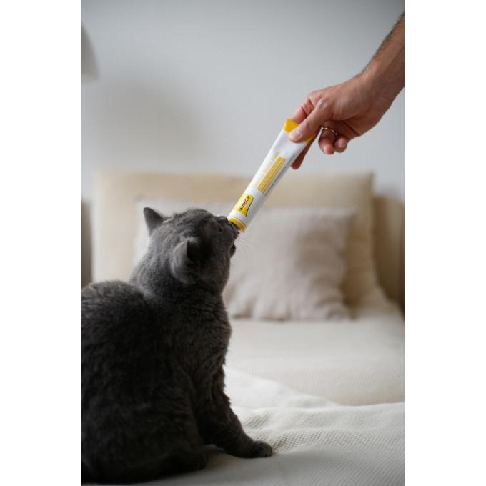 GimCat 4002064401010