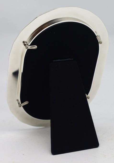 EVG Z09 Silver