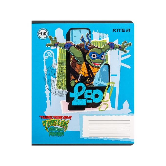 Kite NT24-234