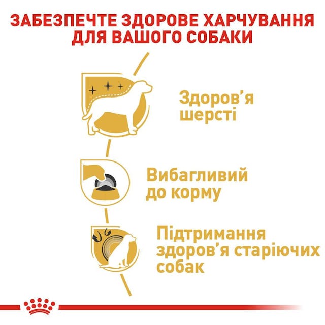 Royal Canin 3051015