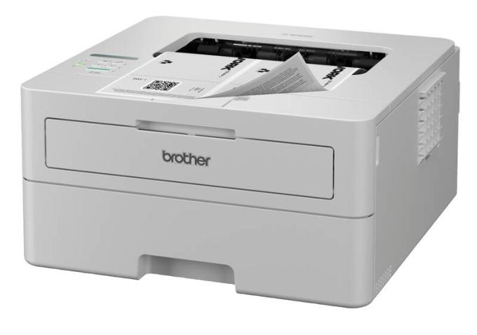 Brother HLB2180DWYJ1