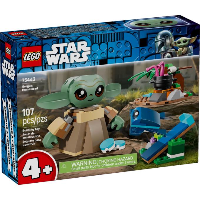 LEGO 75443