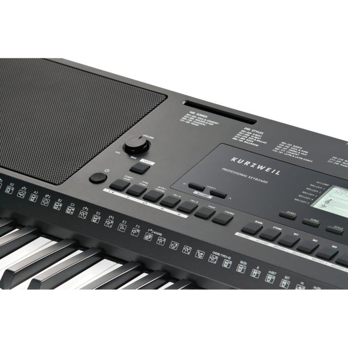 Kurzweil 283683
