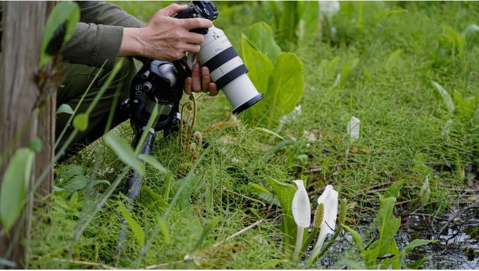 SONY SEL70200G2.SYX