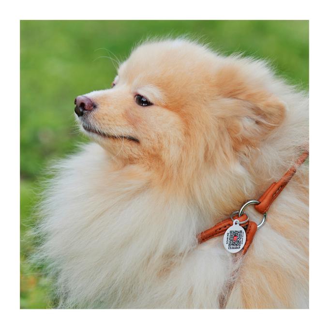 WAUDOG 46206