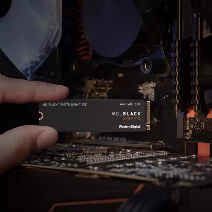 SANDISK WDS250G3X0E