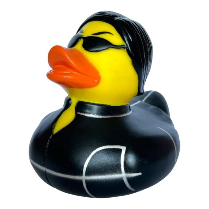 Funny Ducks 1325