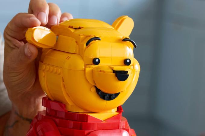 LEGO 43300