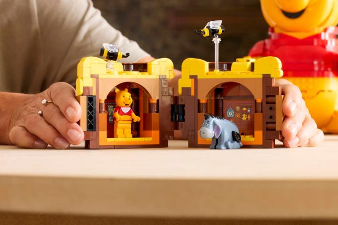 LEGO 43300