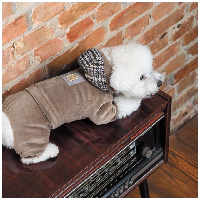 Pet Fashion 4823082427895