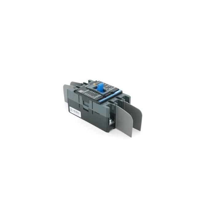 Chint NXM-125S-3300-100A