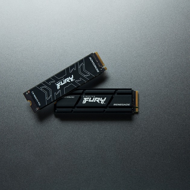 Kingston SFYRSK/1000G