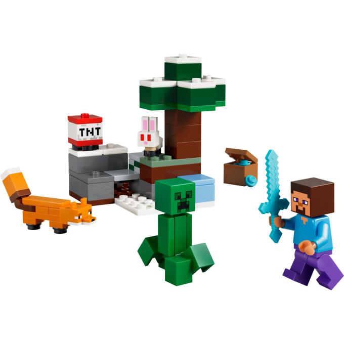 LEGO 21583