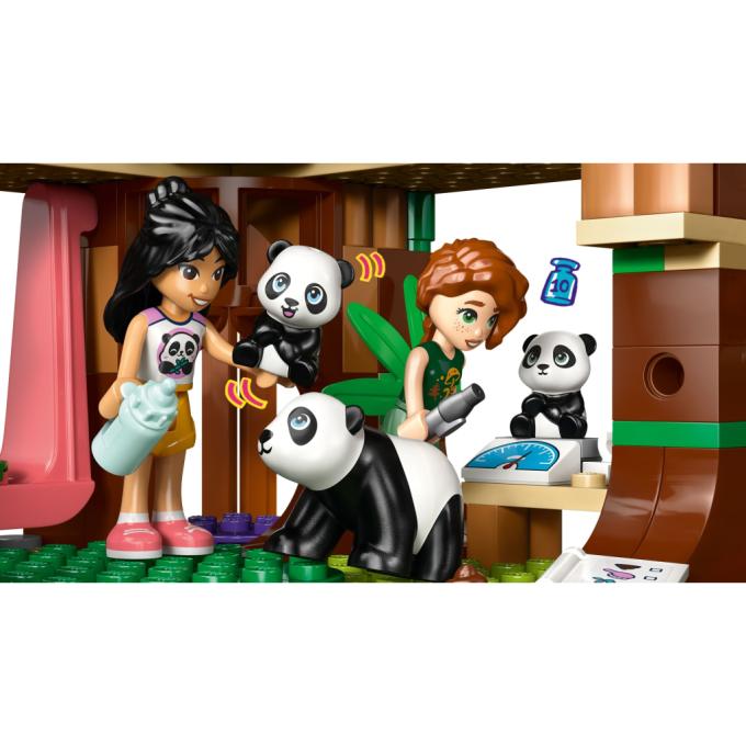 LEGO 42648