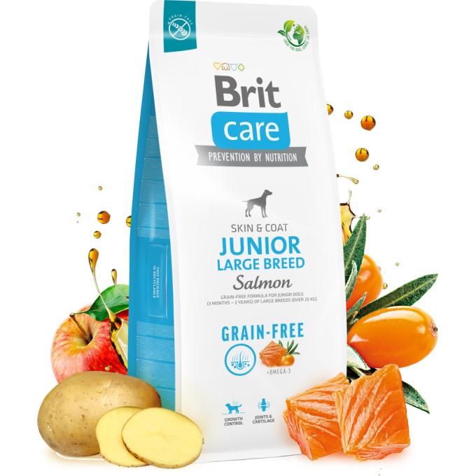 Brit Care 8595602558889