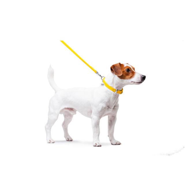 WAUDOG 33728