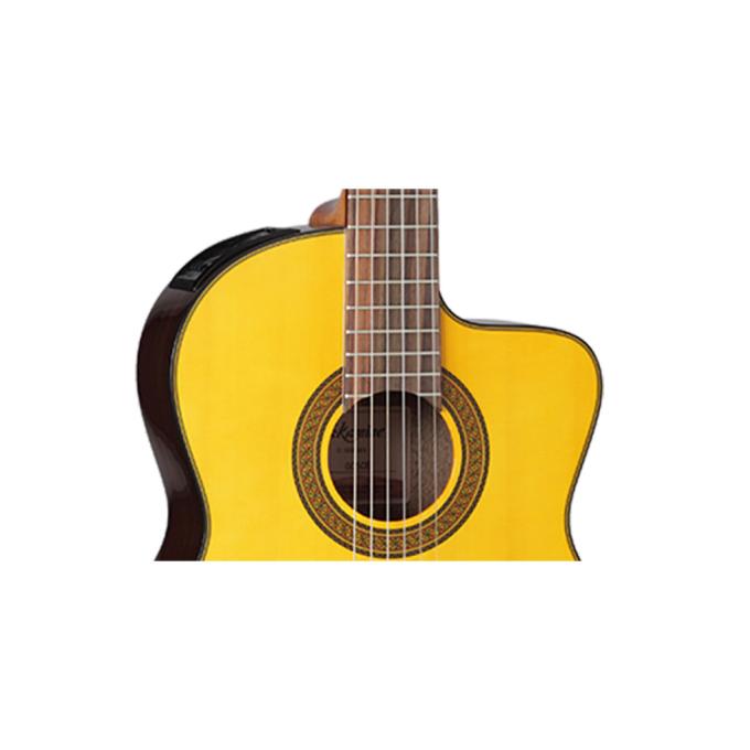 Takamine 221976
