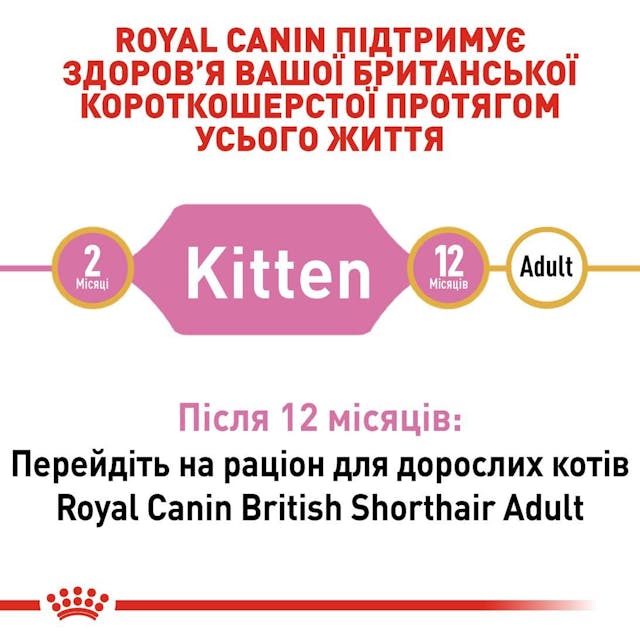Royal Canin 2566004