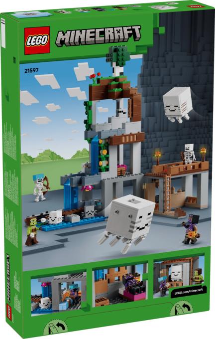LEGO 21597-