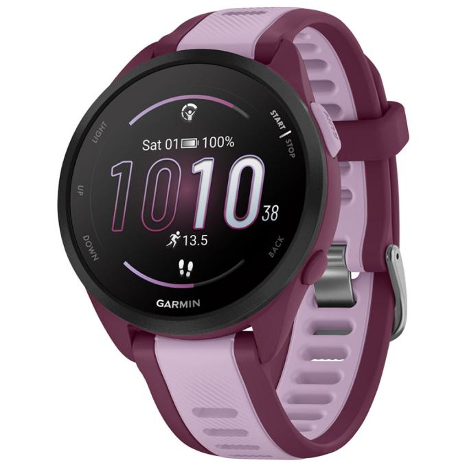 Garmin 010-02863-33