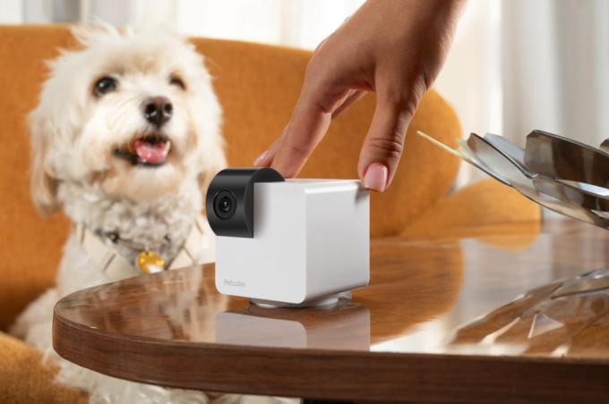 PETCUBE P36010US