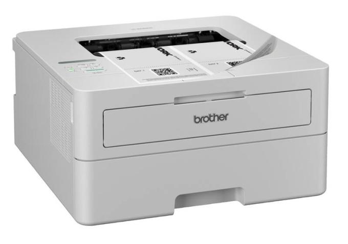 Brother HLB2180DWYJ1