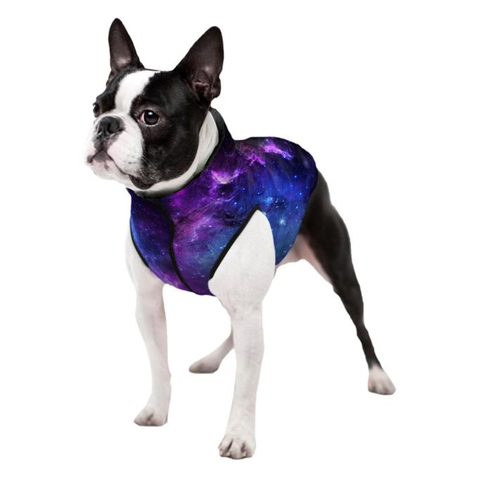 WAUDOG 0965-0148