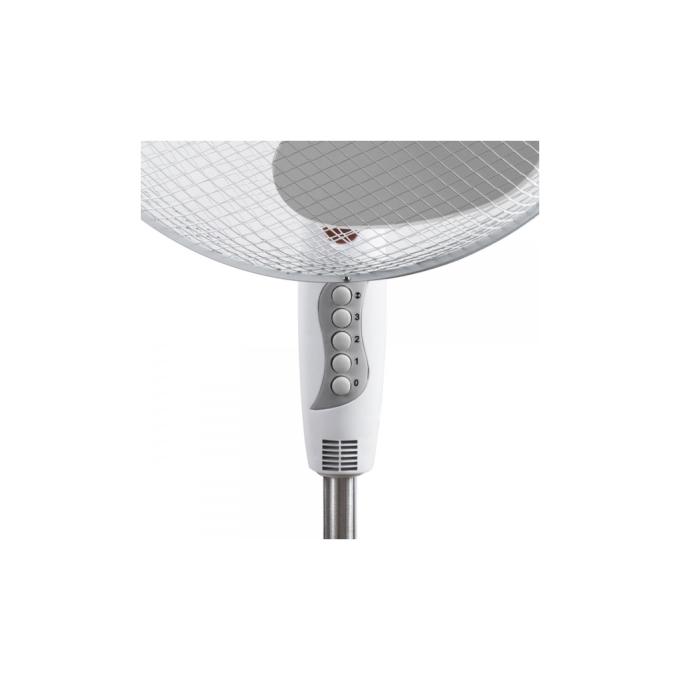 Esperanza EHF001WE