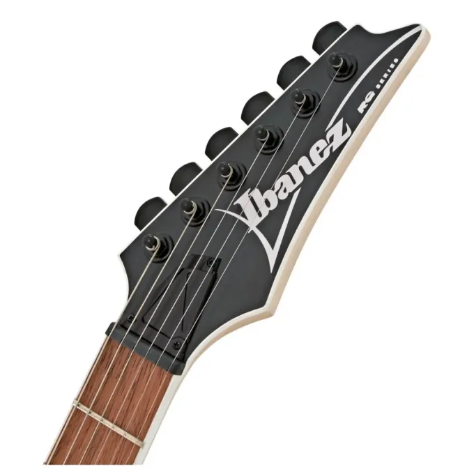 Ibanez 220670