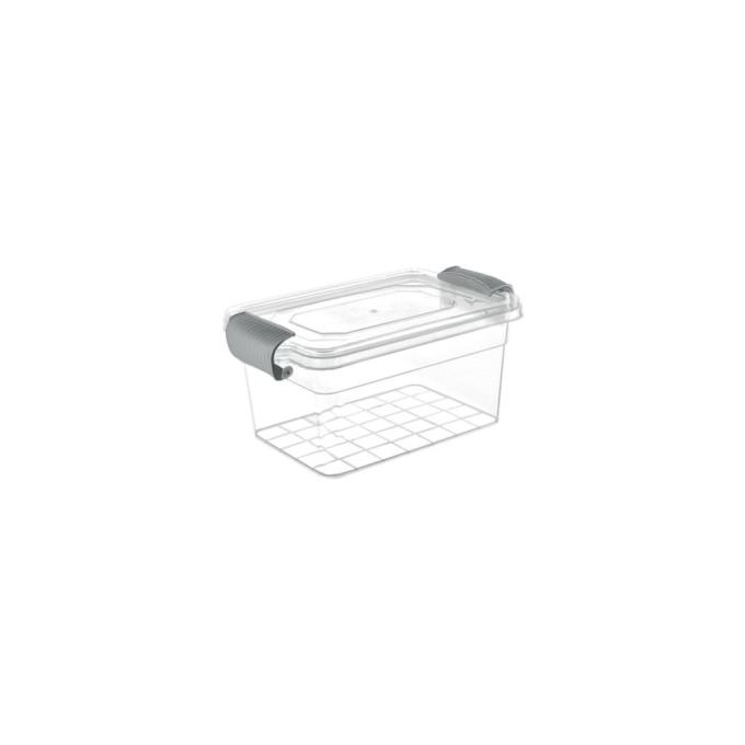 VIOLET HOUSE 0463 FAMILY BOX Transparent 2 л