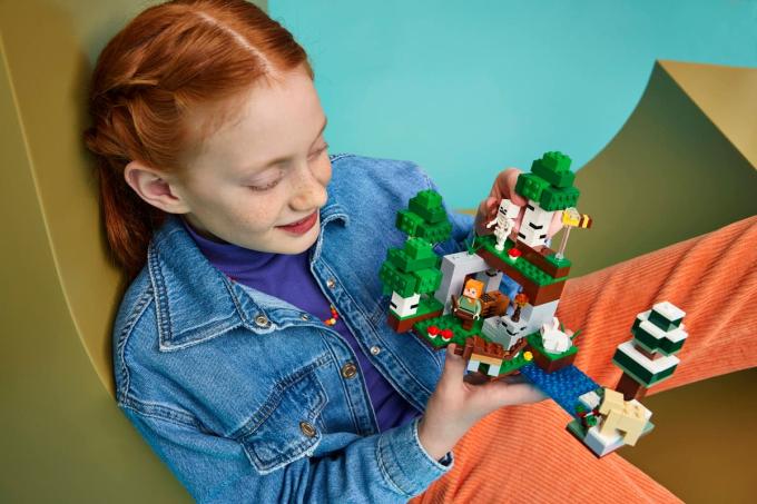 LEGO 21593