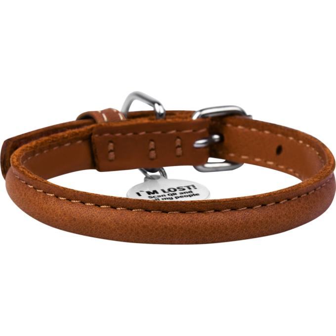 WAUDOG 02696