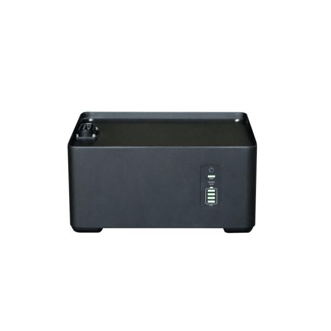 IEETek P2000