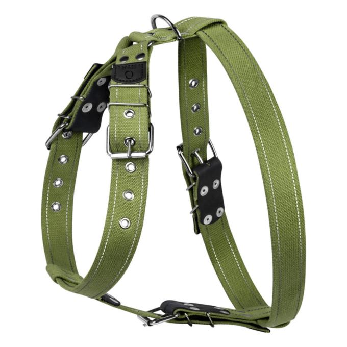 Collar 0646