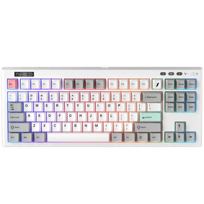 1STPLAYER NEO87-FW-TLD