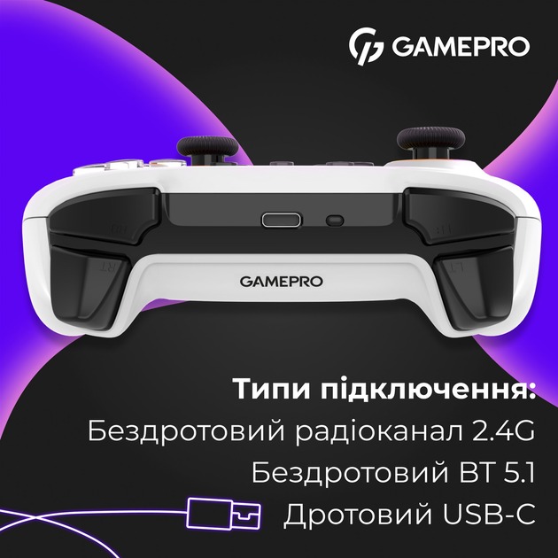 GamePro GPX13W