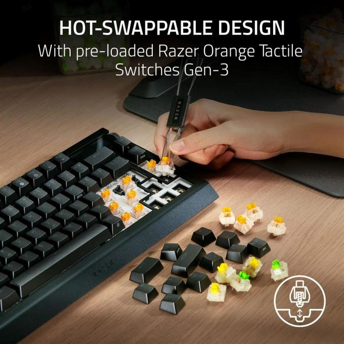 Razer RZ03-05130100-R3M1