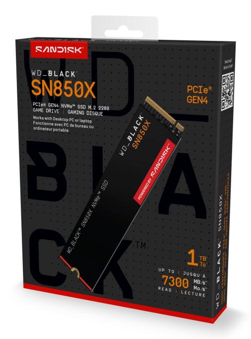 WD WDS100T2X0E
