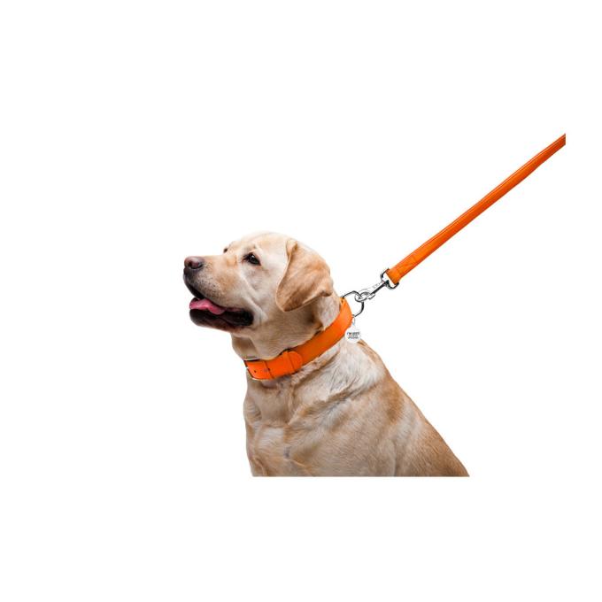 WAUDOG 33764