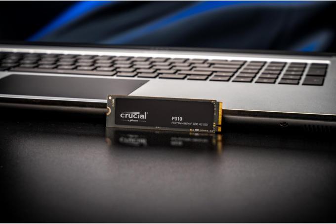 Micron CT2000P310SSD8