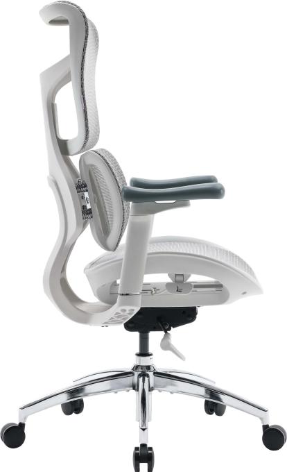 Sihoo S100-M302