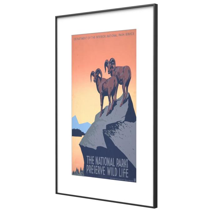 InkPoster PB3150P1-WW